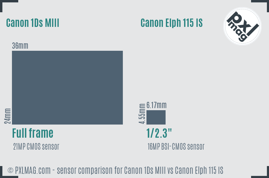 Canon 1Ds MIII vs Canon Elph 115 IS sensor size comparison