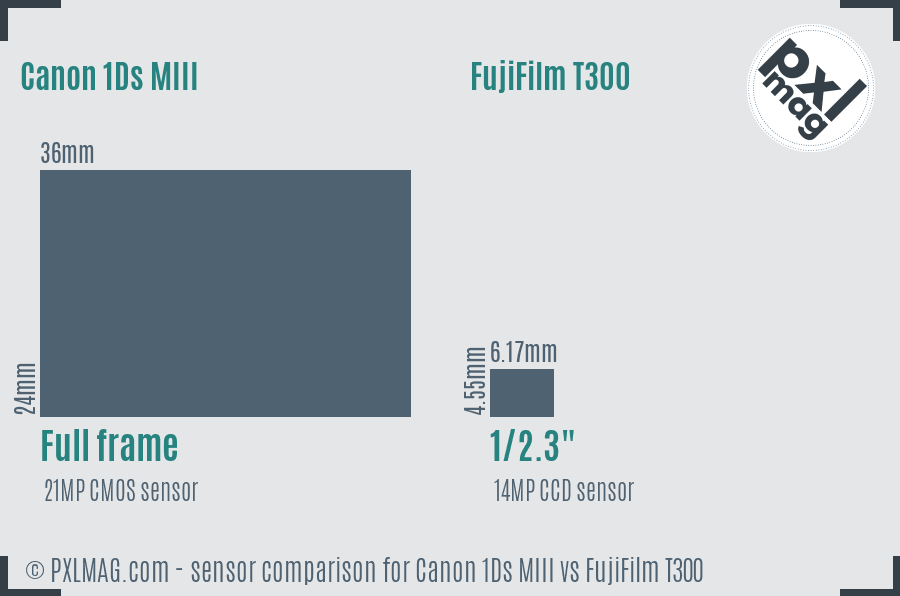 Canon 1Ds MIII vs FujiFilm T300 sensor size comparison