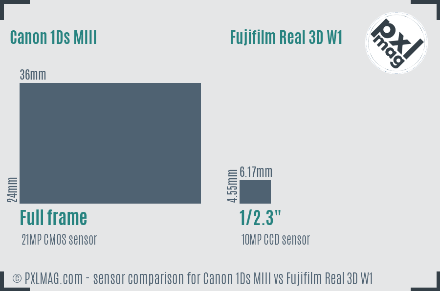 Canon 1Ds MIII vs Fujifilm Real 3D W1 sensor size comparison