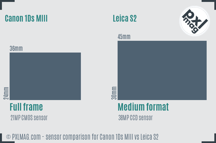 Canon 1Ds MIII vs Leica S2 sensor size comparison