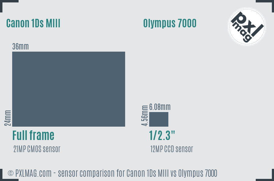 Canon 1Ds MIII vs Olympus 7000 sensor size comparison