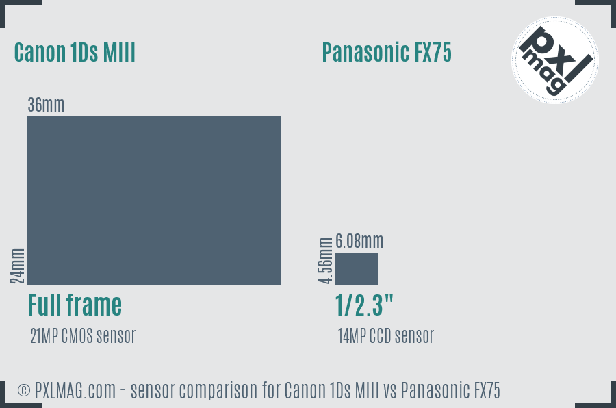 Canon 1Ds MIII vs Panasonic FX75 sensor size comparison