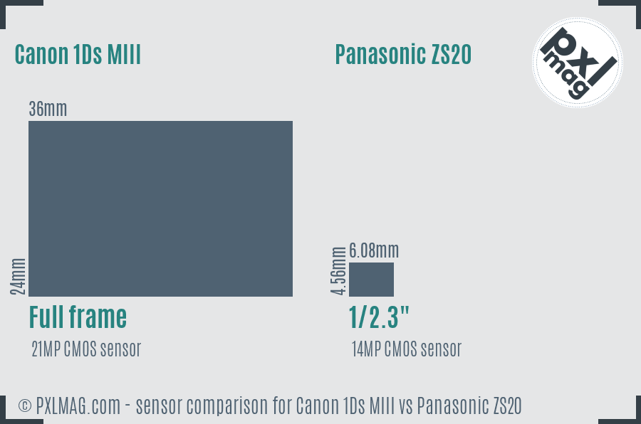 Canon 1Ds MIII vs Panasonic ZS20 sensor size comparison