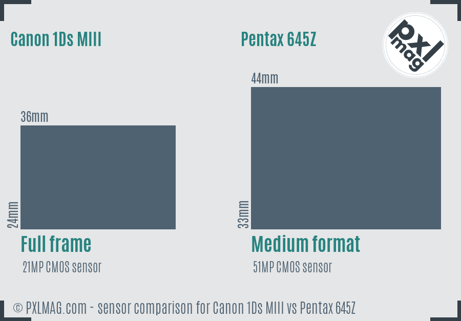 Canon 1Ds MIII vs Pentax 645Z sensor size comparison