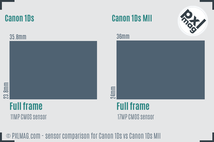 Canon 1Ds vs Canon 1Ds MII sensor size comparison