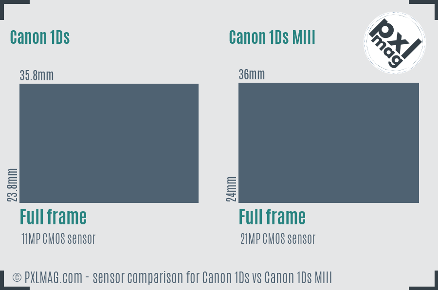 Canon 1Ds vs Canon 1Ds MIII sensor size comparison