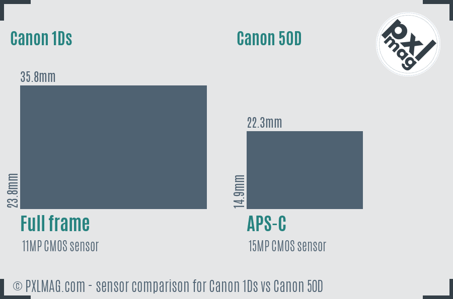 Canon 1Ds vs Canon 50D sensor size comparison