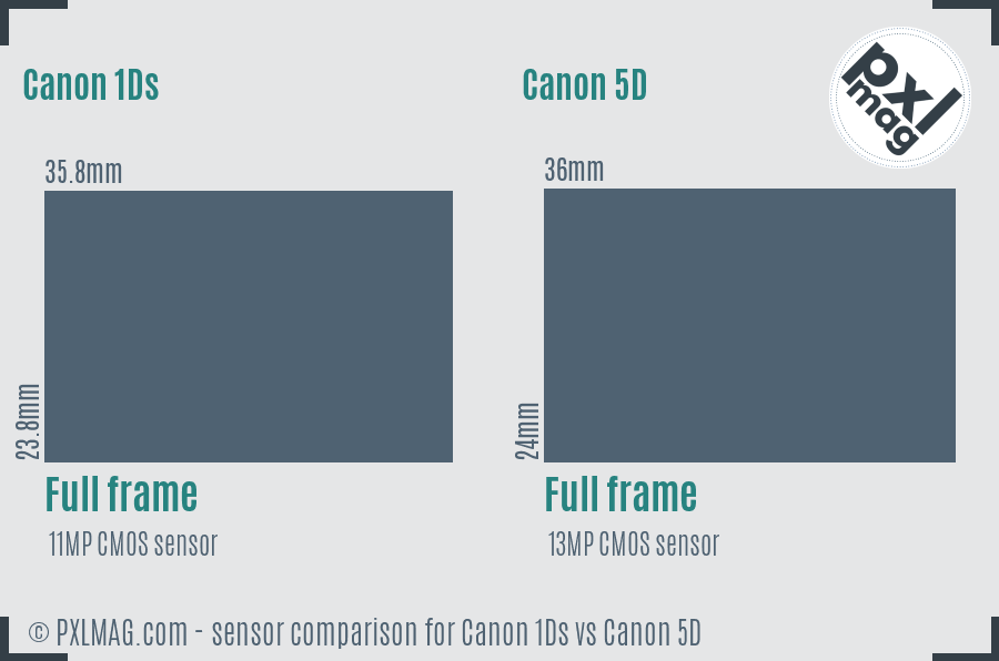 Canon 1Ds vs Canon 5D sensor size comparison Canon 1Ds vs Canon 5D sensor size comparison