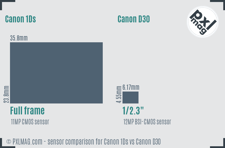 Canon 1Ds vs Canon D30 sensor size comparison