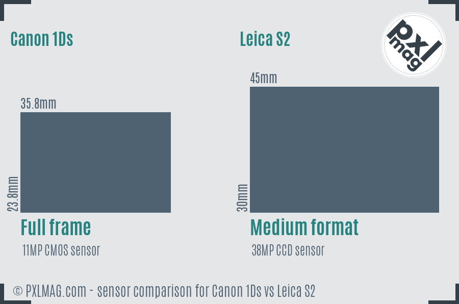 Canon 1Ds vs Leica S2 sensor size comparison
