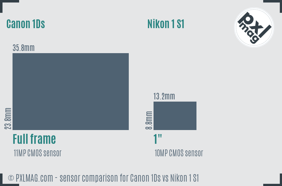 Canon 1Ds vs Nikon 1 S1 sensor size comparison