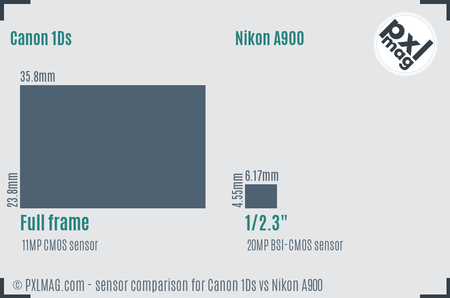 Canon 1Ds vs Nikon A900 sensor size comparison
