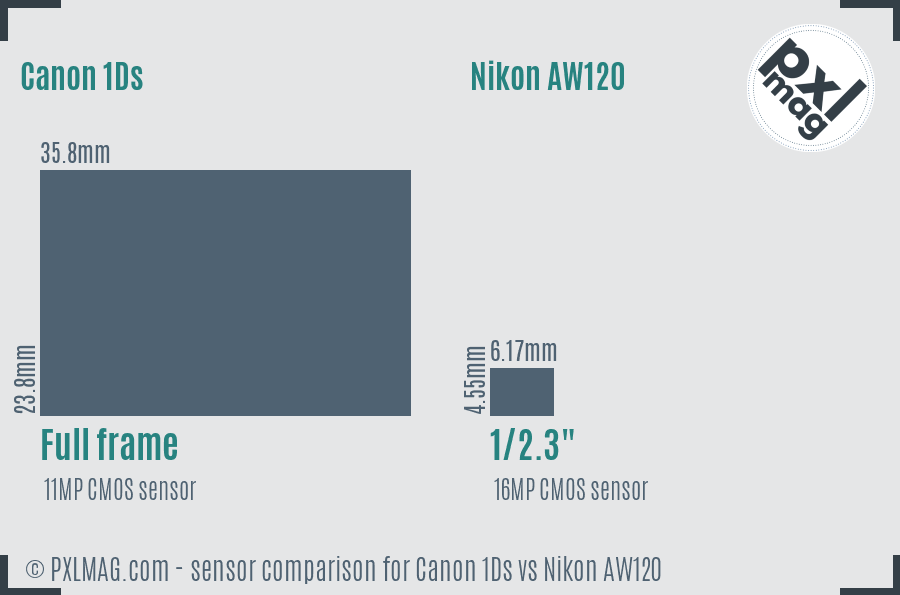 Canon 1Ds vs Nikon AW120 sensor size comparison