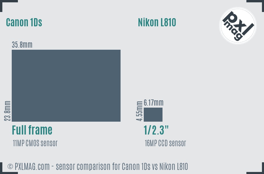 Canon 1Ds vs Nikon L810 sensor size comparison