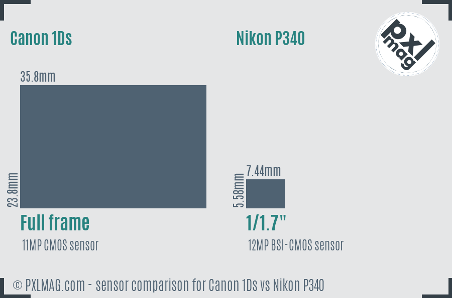 Canon 1Ds vs Nikon P340 sensor size comparison