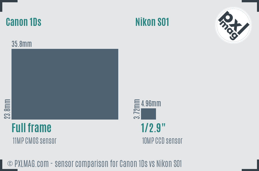 Canon 1Ds vs Nikon S01 sensor size comparison