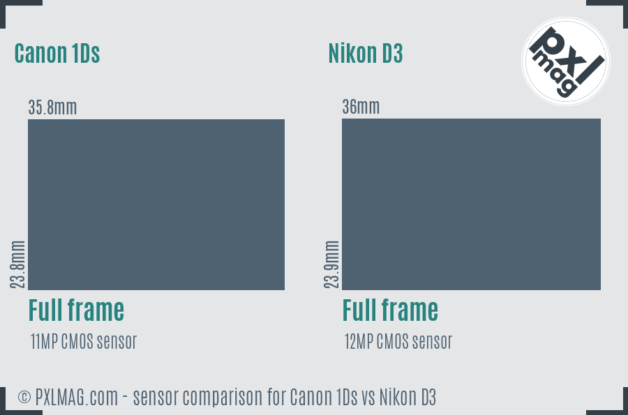 Canon 1Ds vs Nikon D3 sensor size comparison