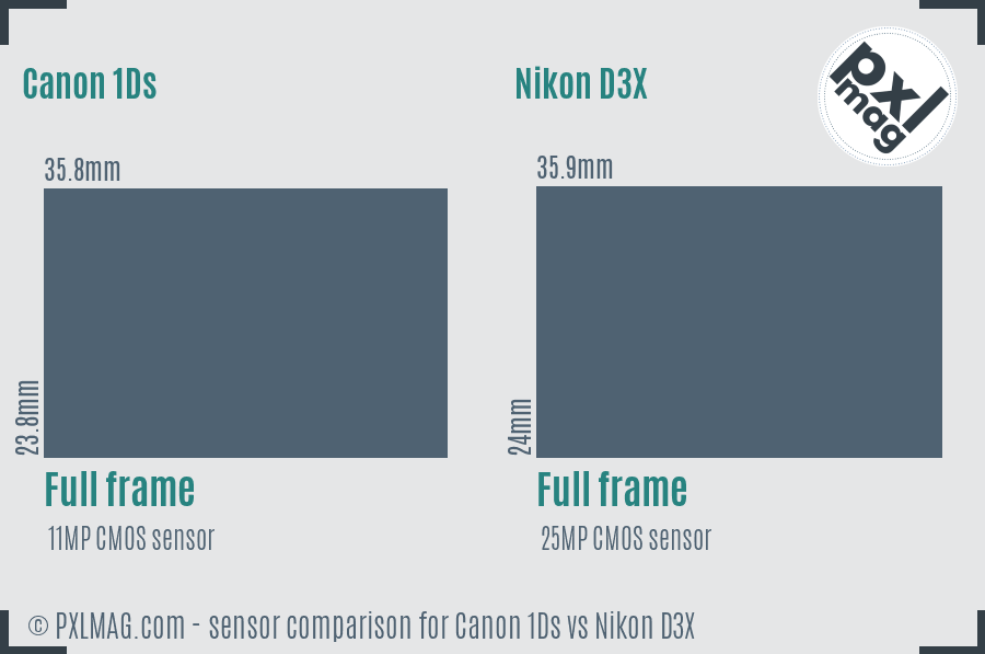 Canon 1Ds vs Nikon D3X sensor size comparison