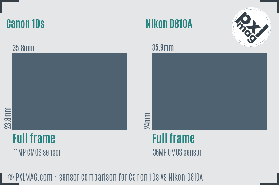 Canon 1Ds vs Nikon D810A sensor size comparison