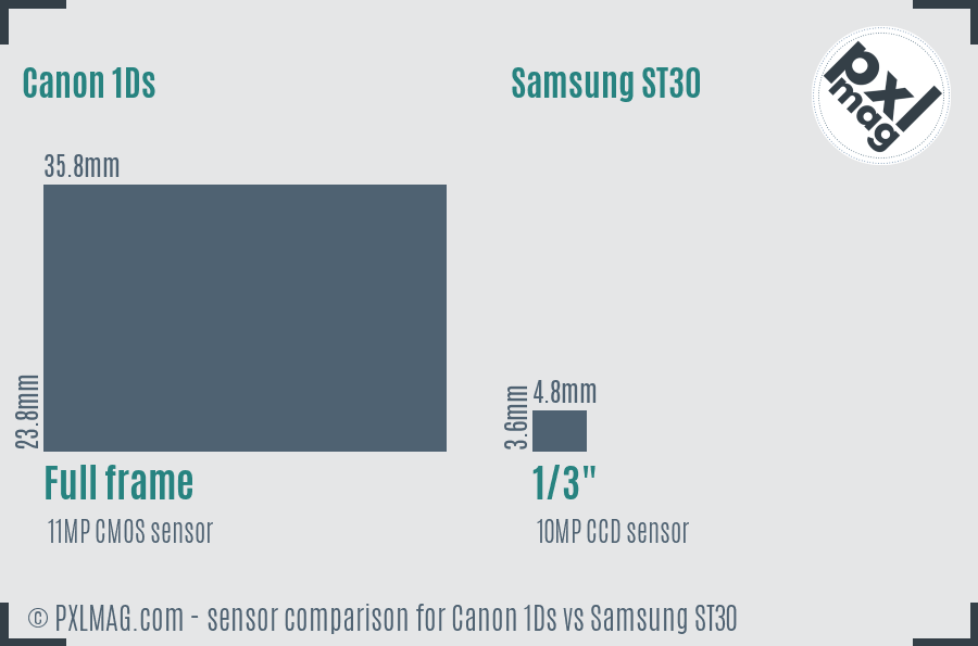 Canon 1Ds vs Samsung ST30 sensor size comparison