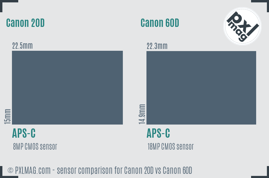 Canon 20D vs Canon 60D sensor size comparison
