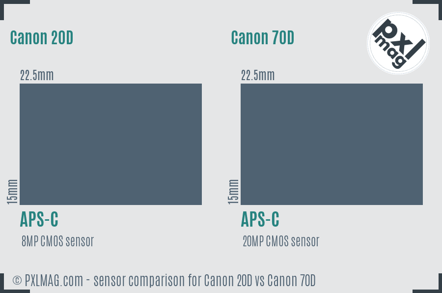 Canon 20D vs Canon 70D sensor size comparison