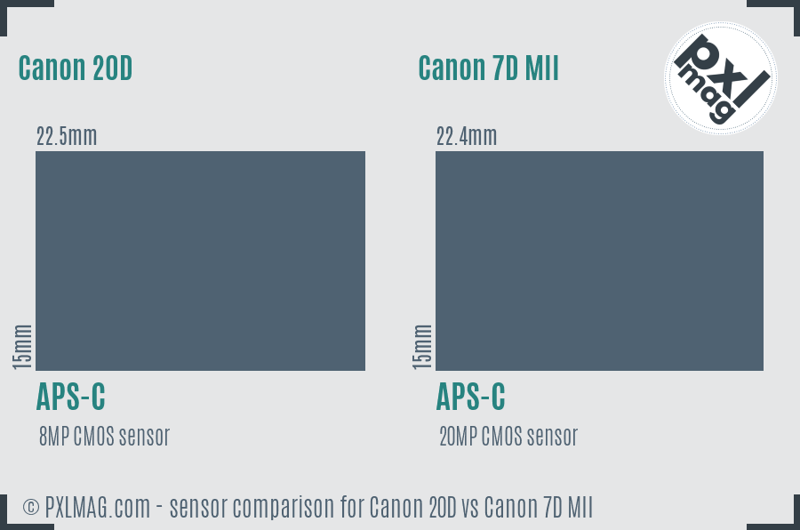 Canon 20D vs Canon 7D MII sensor size comparison