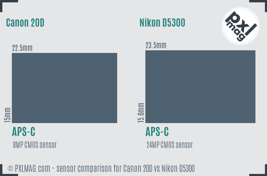 Canon 20D vs Nikon D5300 sensor size comparison