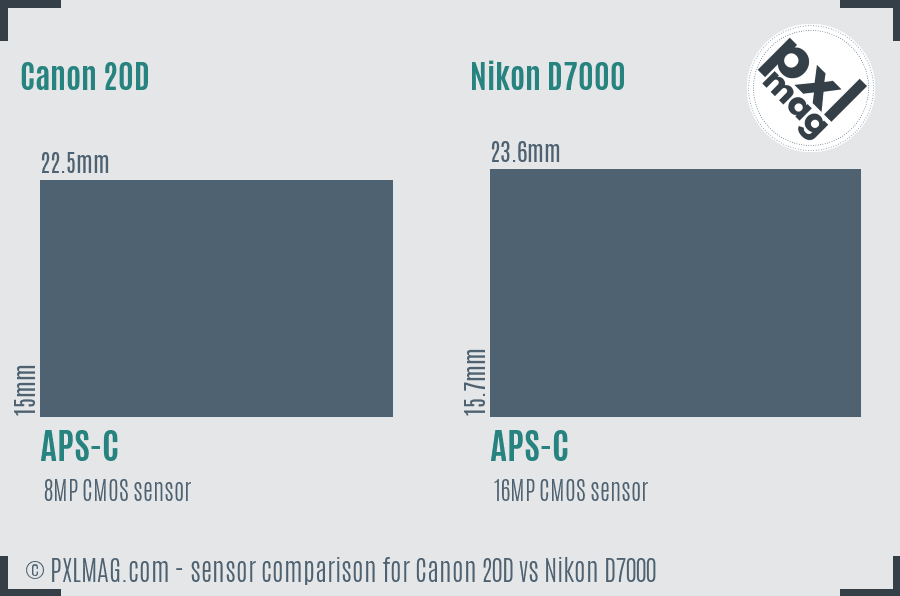 Canon 20D vs Nikon D7000 sensor size comparison