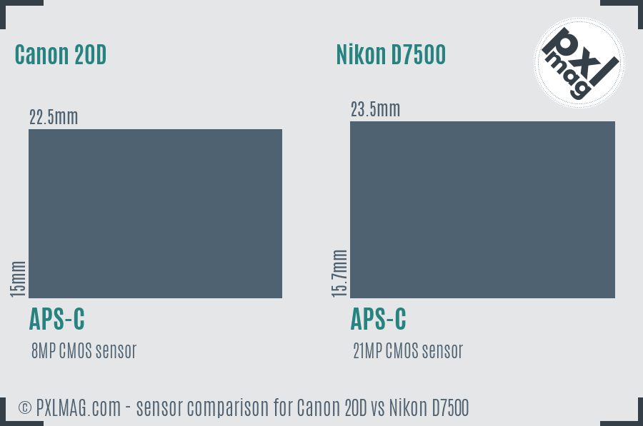 Canon 20D vs Nikon D7500 sensor size comparison