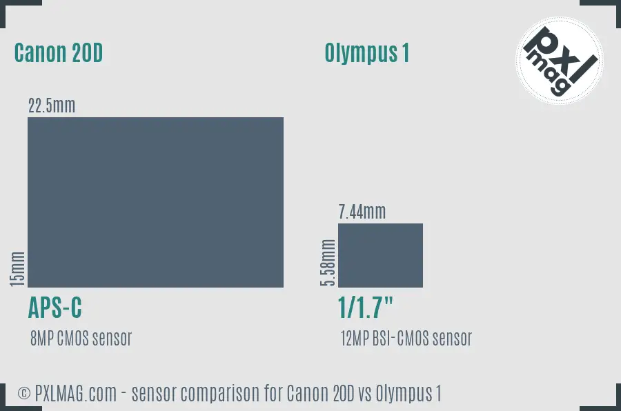 Canon 20D vs Olympus 1 sensor size comparison