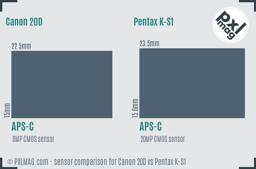 Canon 20D vs Pentax K-S1 sensor size comparison