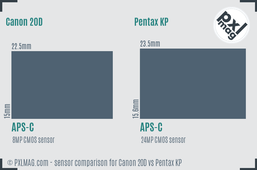 Canon 20D vs Pentax KP sensor size comparison