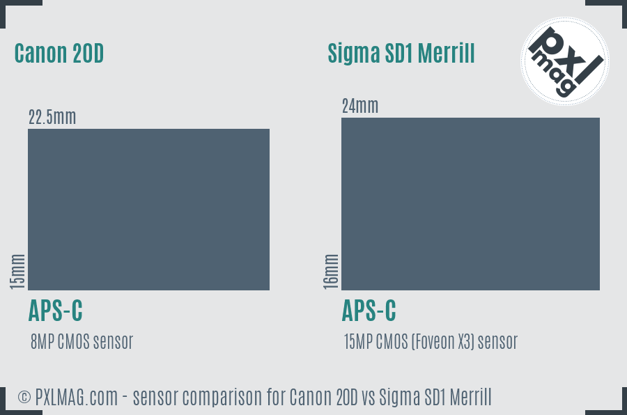 Canon 20D vs Sigma SD1 Merrill sensor size comparison