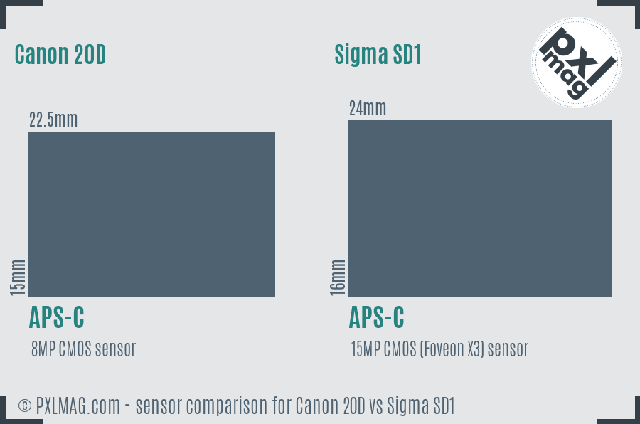 Canon 20D vs Sigma SD1 sensor size comparison