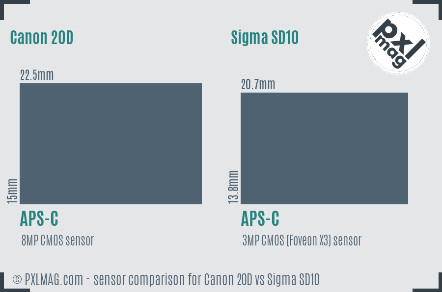 Canon 20D vs Sigma SD10 sensor size comparison