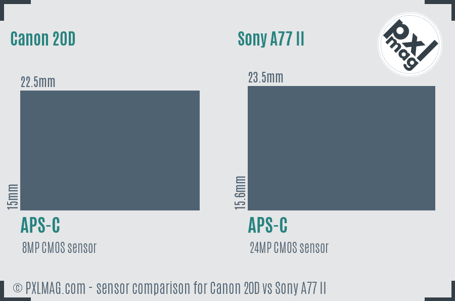 Canon 20D vs Sony A77 II sensor size comparison