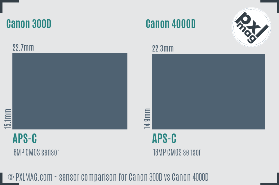 Canon 300D vs Canon 4000D sensor size comparison