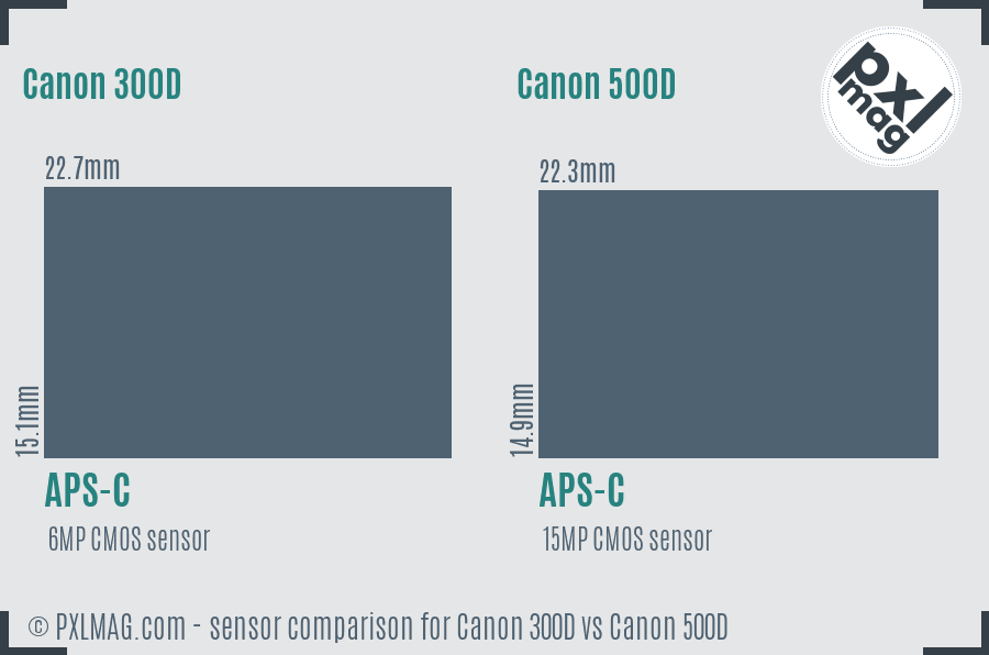 Canon 300D vs Canon 500D sensor size comparison
