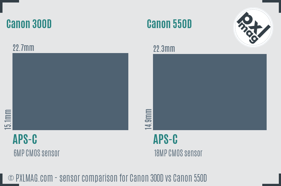 Canon 300D vs Canon 550D sensor size comparison