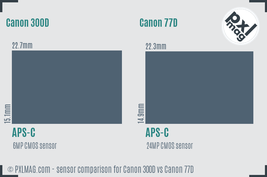 Canon 300D vs Canon 77D sensor size comparison