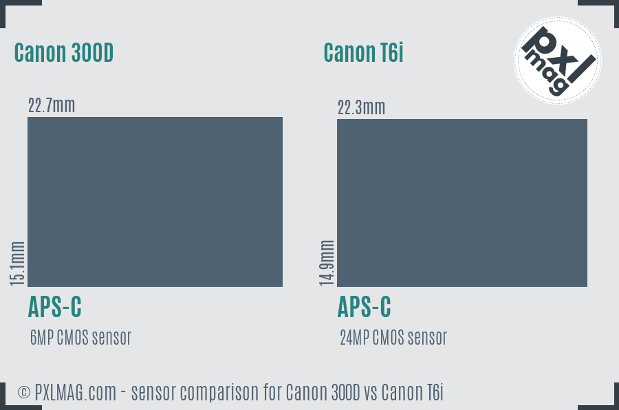 Canon 300D vs Canon T6i sensor size comparison