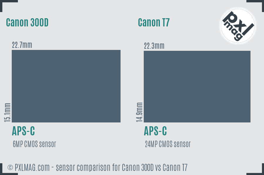 Canon 300D vs Canon T7 sensor size comparison