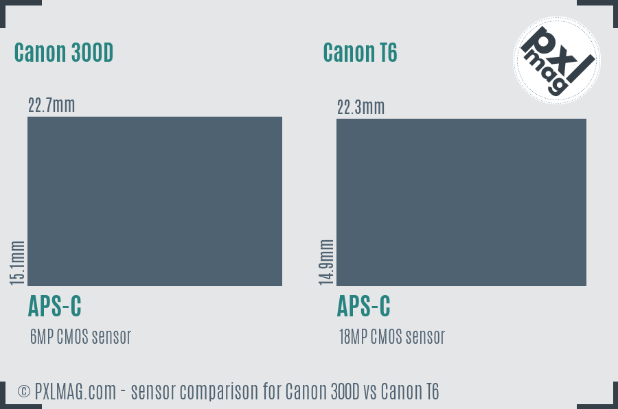 Canon 300D vs Canon T6 sensor size comparison