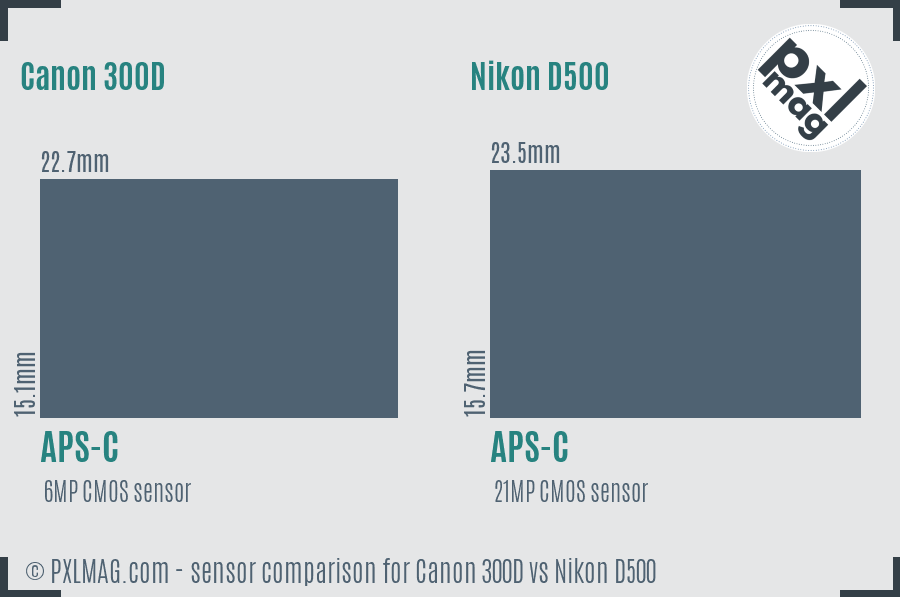 Canon 300D vs Nikon D500 sensor size comparison