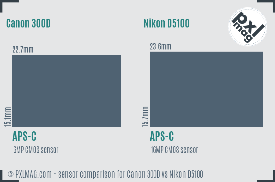 Canon 300D vs Nikon D5100 sensor size comparison