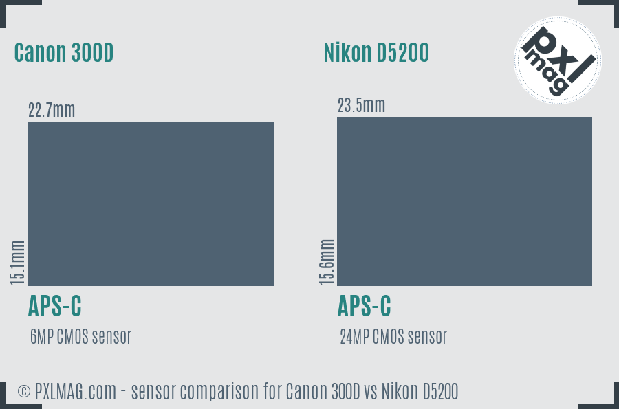 Canon 300D vs Nikon D5200 sensor size comparison