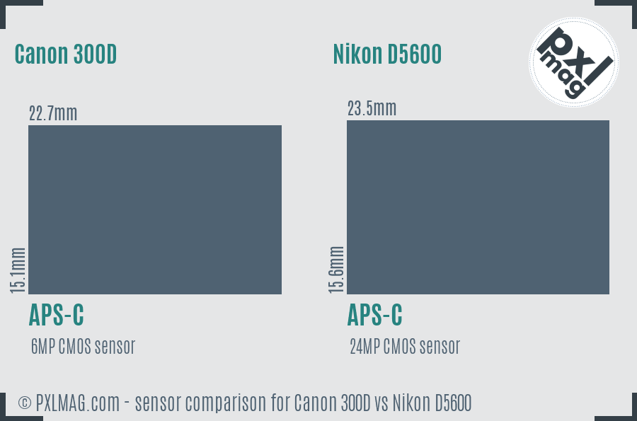Canon 300D vs Nikon D5600 sensor size comparison