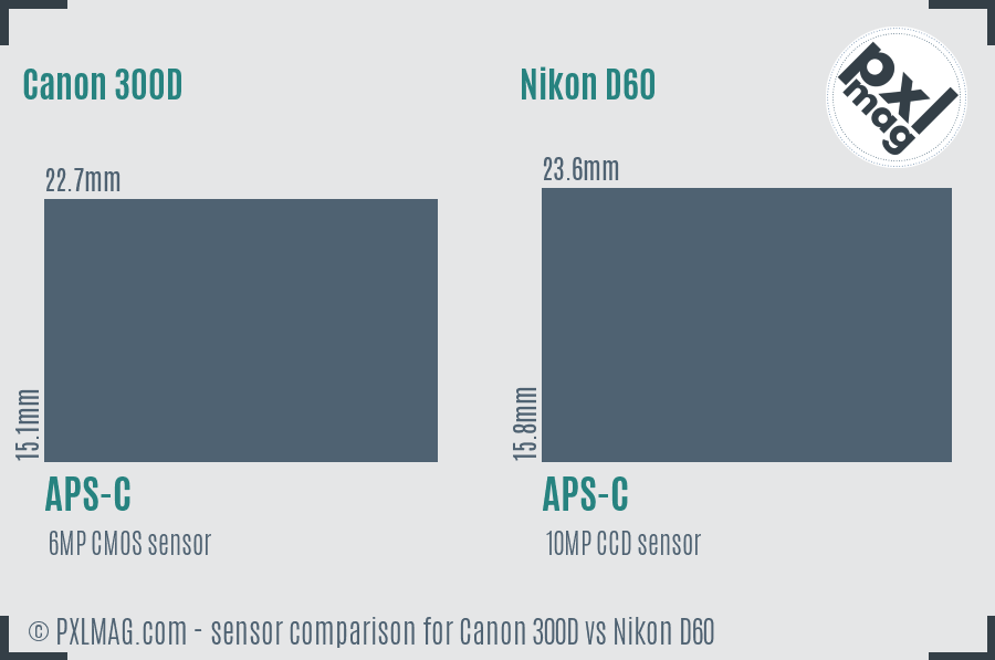 Canon 300D vs Nikon D60 sensor size comparison