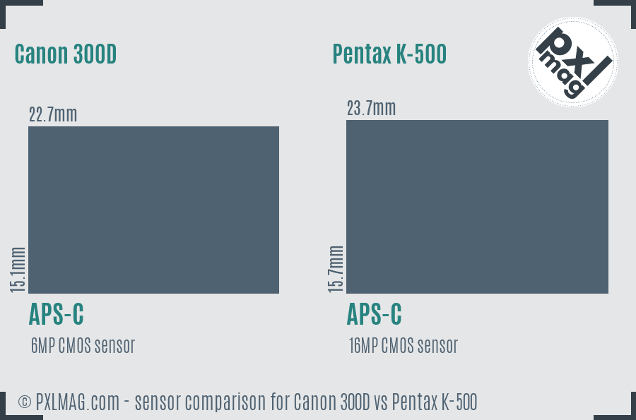 Canon 300D vs Pentax K-500 sensor size comparison